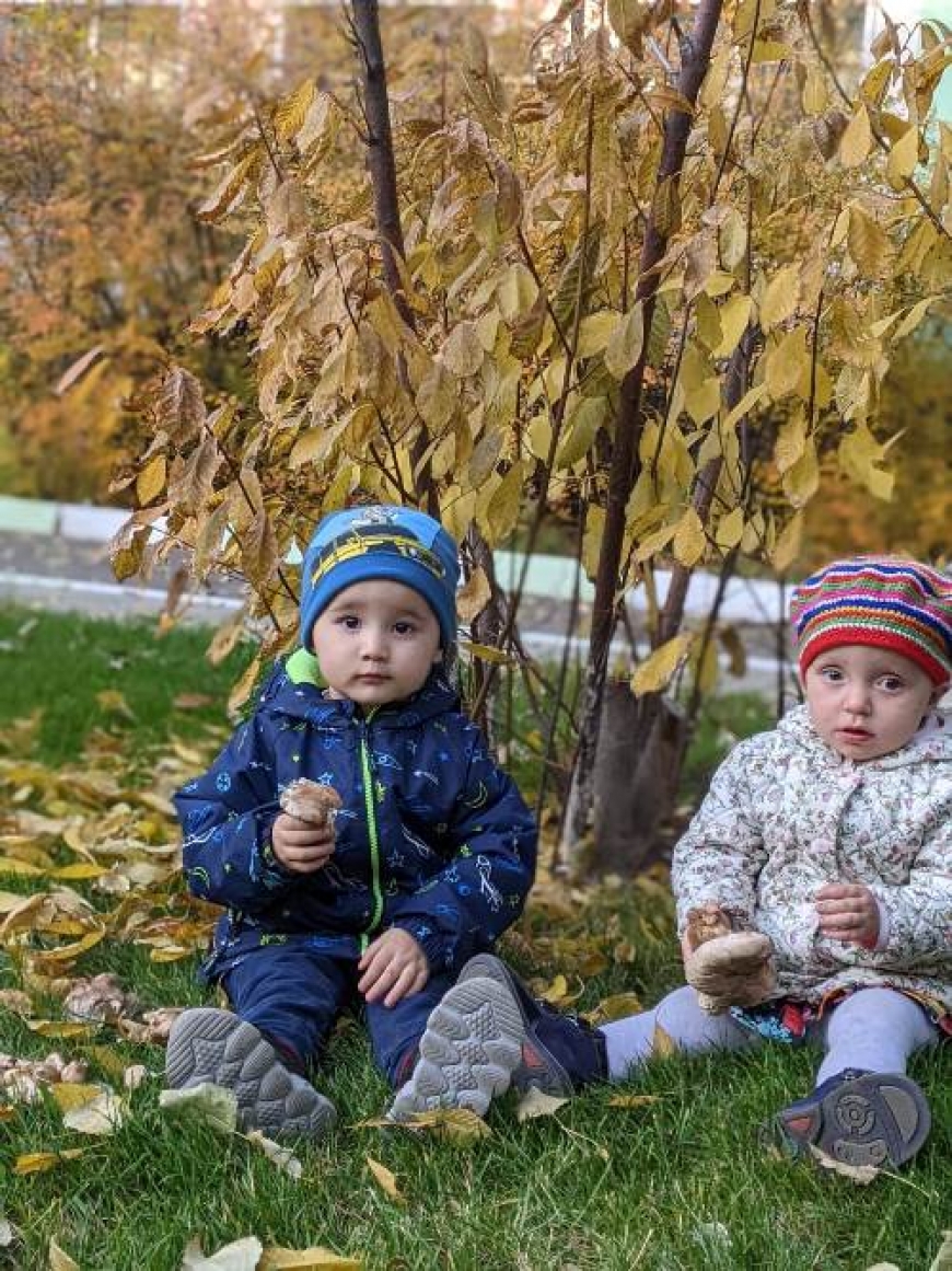 Күзгі бақта шаттана, Жинаймыз біз саңырауқұлақ