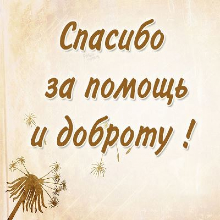 Благодарность филиал Международной школе АОО НИШ г.Нур-Султан